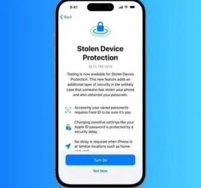 召陵苹果授权维修店分享被盗设备保护功能开启方法 