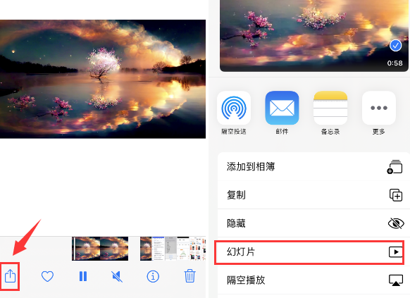 召陵苹果14维修店分享iPhone14相册视频如何循环播放 