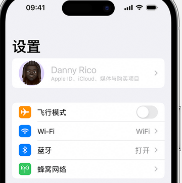 召陵appleID维修服务iPhone设置中Apple ID显示为灰色无法使用 