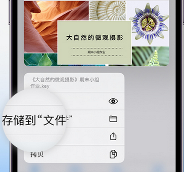 召陵apple维修中心分享iPhone文件应用中存储和找到下载文件