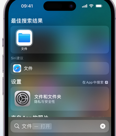 召陵apple维修中心分享iPhone文件应用中存储和找到下载文件