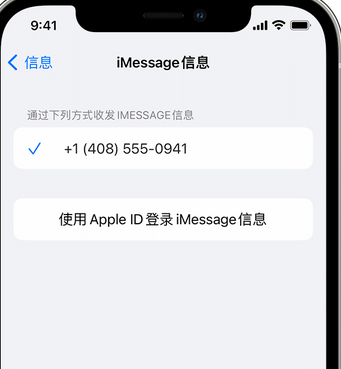 召陵apple维修iPhone上无法正常发送iMessage信息 