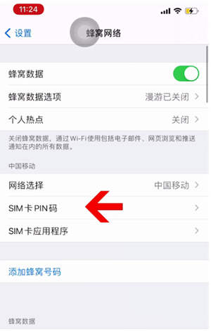 召陵苹果14维修网分享如何给iPhone14的SIM卡设置密码 