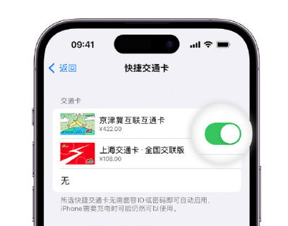 召陵apple维修点分享iPhone上更换Apple Pay快捷交通卡手绘卡面 