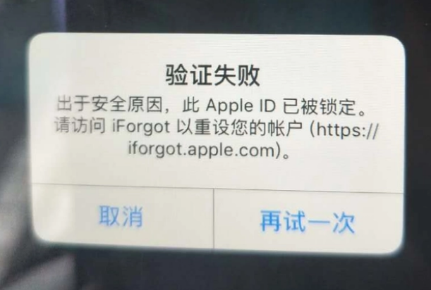 召陵iPhone维修分享iPhone上正常登录或使用AppleID怎么办 