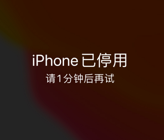 召陵苹果手机维修分享:iPhone 显示“不可用”或“已停用”怎么办？还能保留数据吗？ 