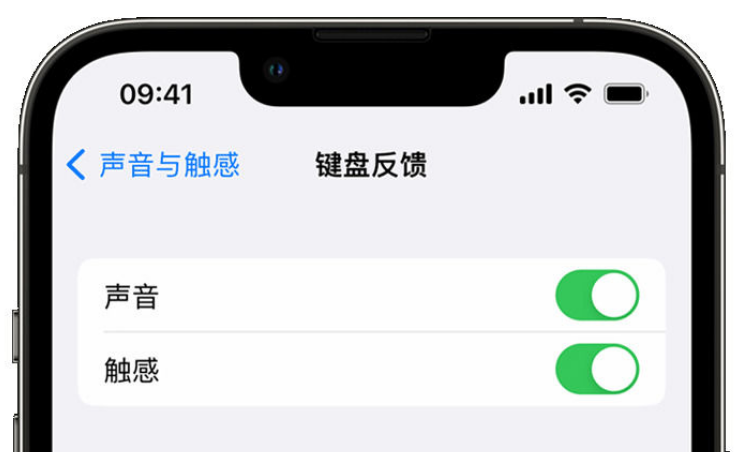 召陵苹果手机维修分享iPhone 14触感键盘使用方法 