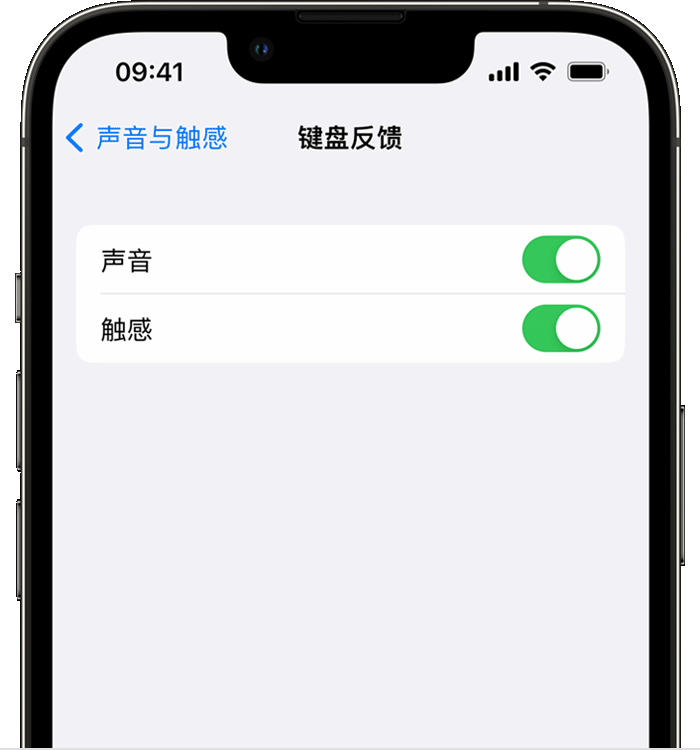 召陵苹果14维修店分享如何在 iPhone 14 机型中使用触感键盘 