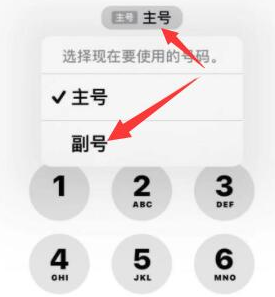 召陵苹果14维修店分享iPhone 14 Pro Max使用副卡打电话的方法 