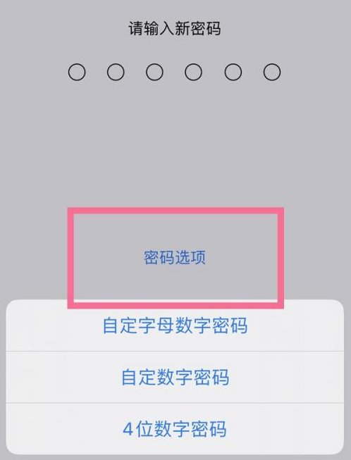 召陵苹果14维修分享iPhone 14plus设置密码的方法 