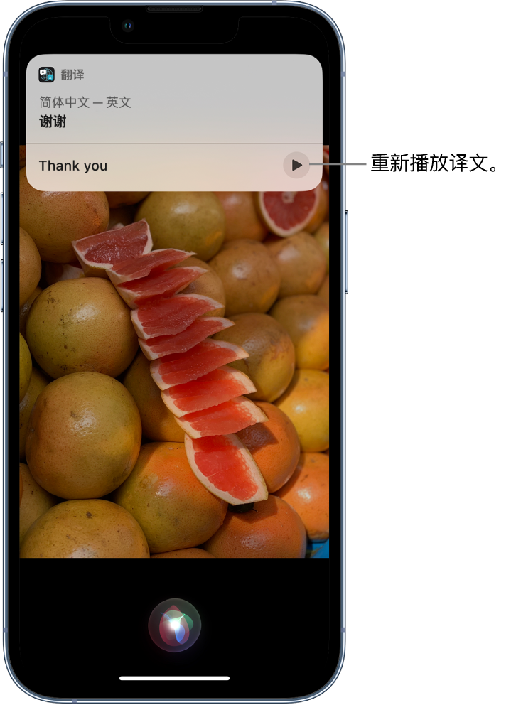 召陵苹果14维修分享 iPhone 14 机型中使用 Siri：了解 Siri 能帮你做什么 