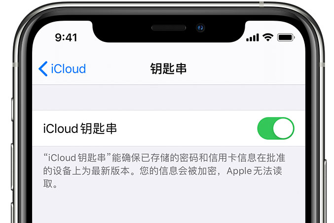 召陵苹果手机维修分享在 iPhone 上开启 iCloud 钥匙串之后会储存哪些信息 