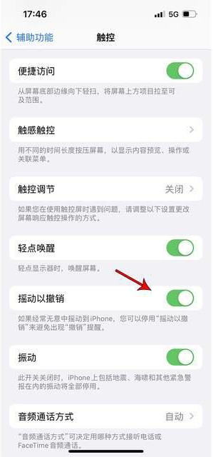 召陵苹果手机维修分享iPhone手机如何设置摇一摇删除文字 