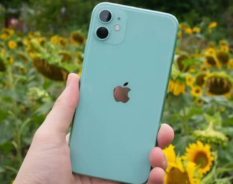 召陵苹果维修点分享iPhone 11锁屏密码认知与使用科普 