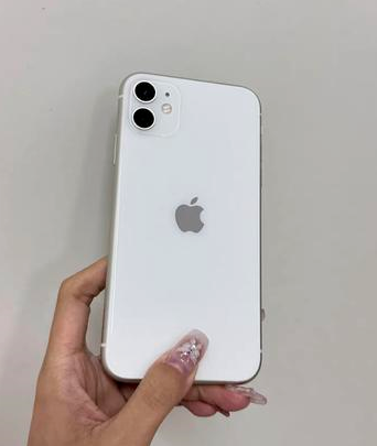 召陵苹果维修点分享iPhone 11黑屏特殊场景解析 